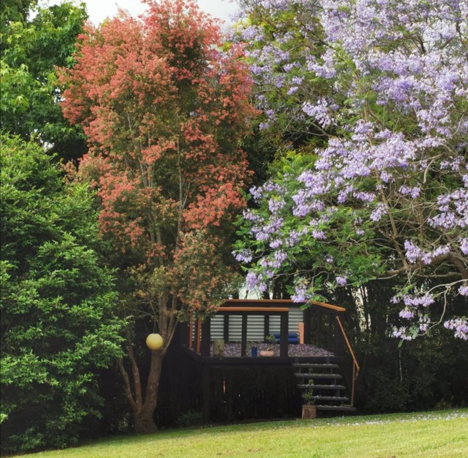 Wyndover Mountain Retreat Beechmont Kültér fotó