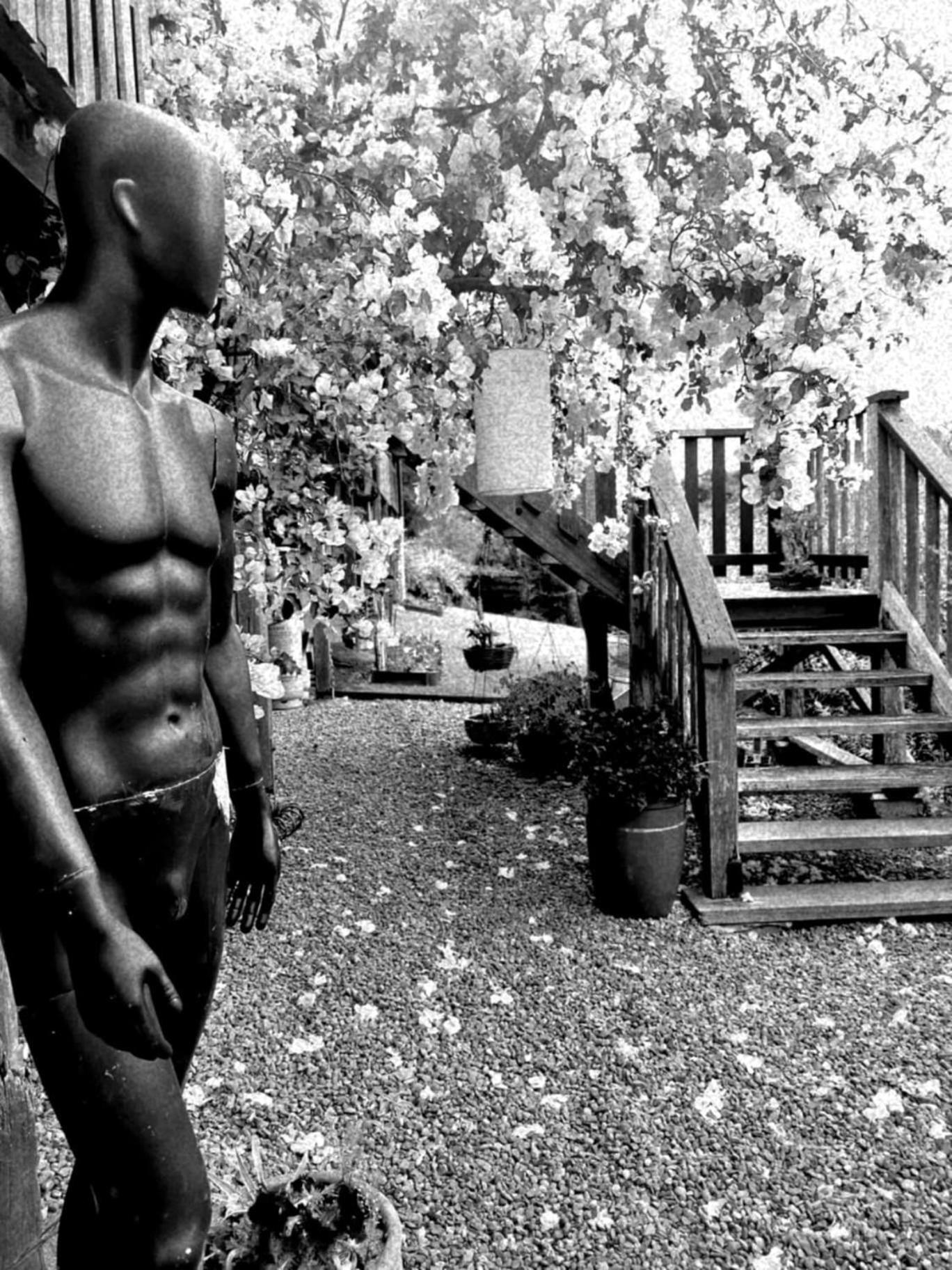 Wyndover Mountain Retreat Beechmont Kültér fotó